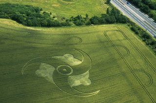 aerial of Litchfield