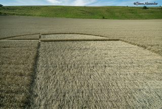 aerial of Chirton Bottom from tt