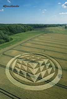 aerial of Tichborne from tt