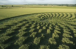 other of Avebury Trusloe