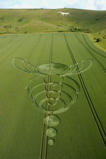 aerial of Milk Hill from tt