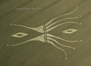 aerial of East Kennett from tt