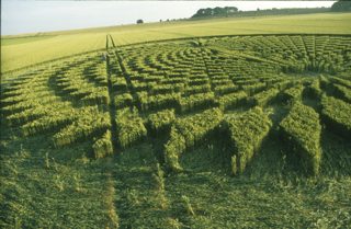 other of Avebury Trusloe from tt