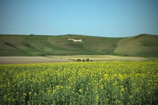 other of Crop Circles 2026
