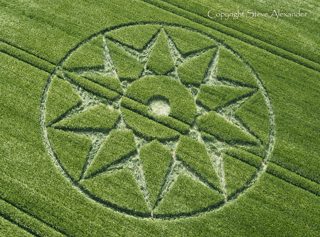 aerial of Willoughboy Hedge from tt