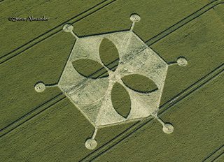 aerial of Yarnbury Castle from tt