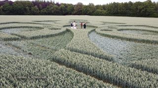 other of Wilton from tt