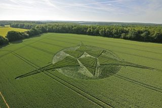 aerial of Savernake Forest from tt