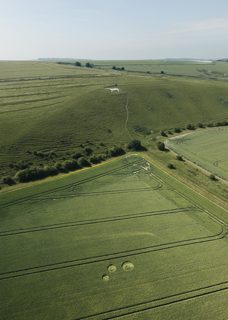 aerial of Pewsey White Horse
