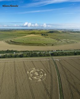 aerial of Yarnbury Castle from tt