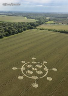 aerial of Kingweston