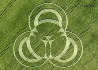 aerial of Long Wood from tt