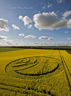 aerial of Yarnbury Castle