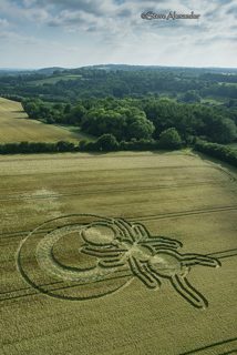 aerial of Sparticles Wood from tt