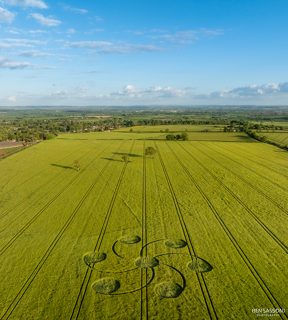 other of Kingweston from tt