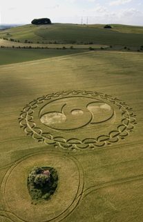 aerial of Furze Knoll