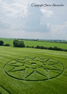 aerial of Willoughboy Hedge from tt