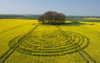 aerial of Avebury from tt