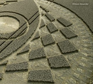 aerial of West Meon from tt