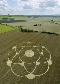 aerial of Winterbourne Bassett from tt