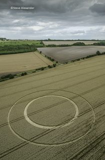 aerial of Marten from tt
