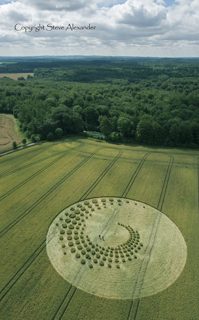 aerial of Marlborough from tt