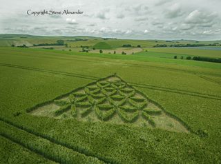 aerial of Waden Hill from tt
