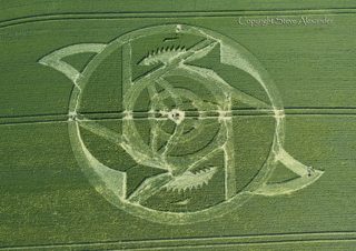 aerial of Hackpen Hill from tt