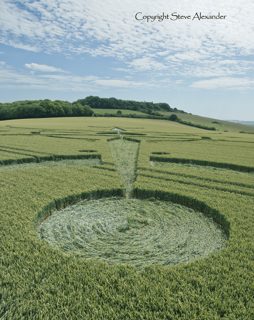 aerial of Clearbury Ring from tt