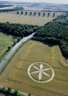 aerial of Buckland