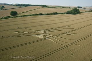 aerial of East Kennett from tt