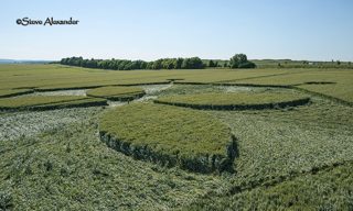 aerial of Yarnbury Castle from tt