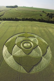 aerial of Wexcombe