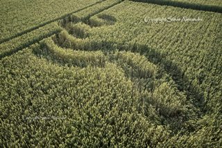 aerial of Rollright Stones from tt