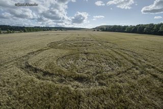 aerial of Norridge Wood from tt