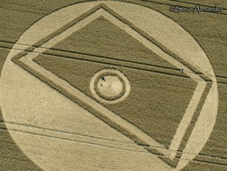 aerial of Gurston Ashes from tt