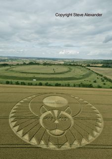 aerial of Figsbury Rings from tt