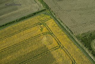 aerial of Marden Copse