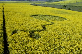 other of Cheesefoot Head
