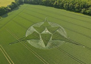 aerial of Savernake Forest from tt