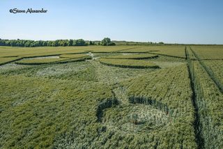 aerial of Yarnbury Castle from tt