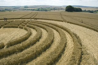 other of Avebury from tt