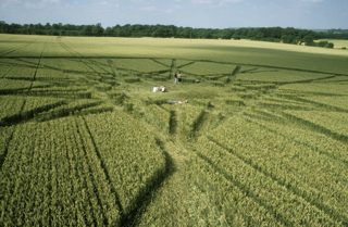 other of Cley Hill