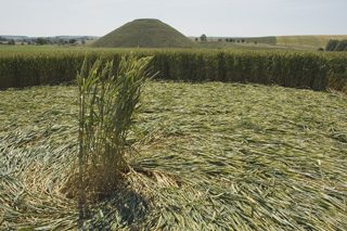other of Silbury Hill from tt