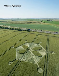 aerial of Yarnbury Castle from tt