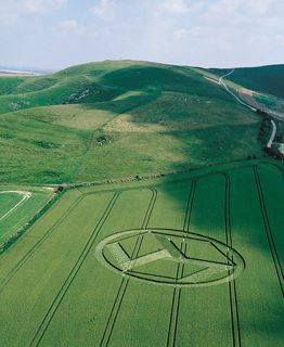 aerial of Allington Down