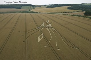 aerial of East Kennett from tt