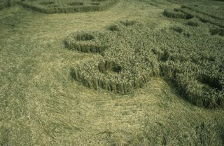 other of Milk Hill