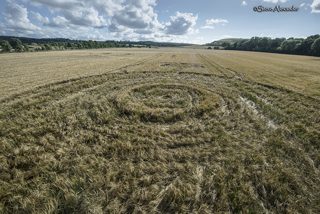 aerial of Norridge Wood from tt