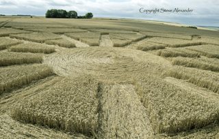 aerial of Bowerchalke from tt